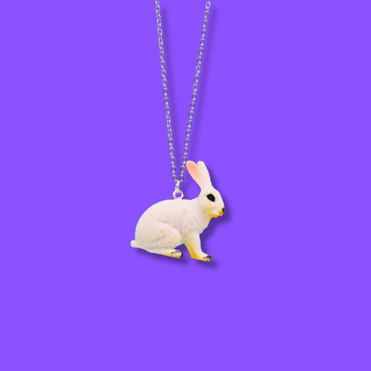 Halsband hare