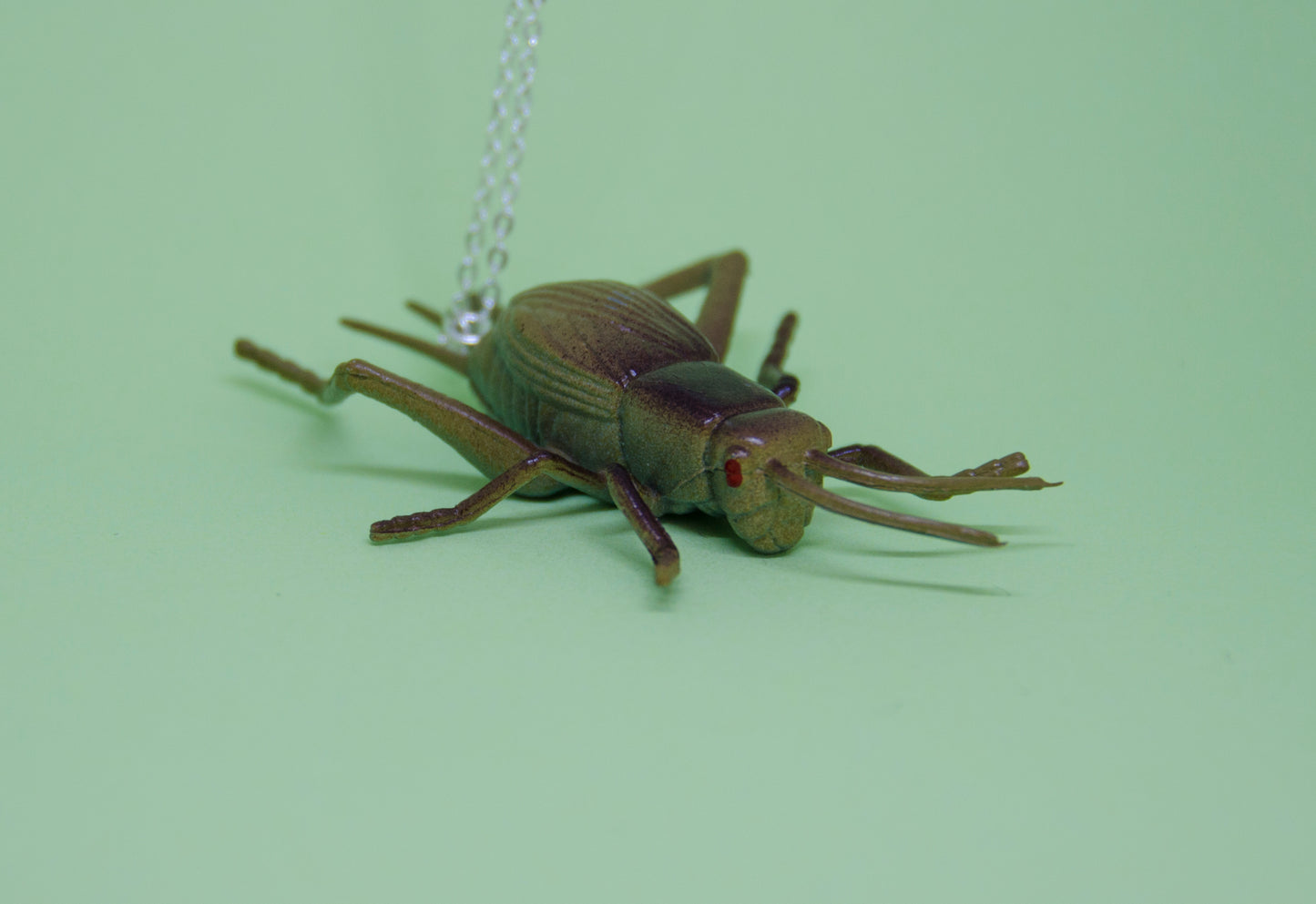 Halsband insekt gräshoppa